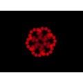 focusspot5zcircularfacetprismweb.jpg_9.jpg