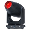 focus-profile-web-01.jpg