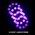 focus-profile-web-06a.jpg