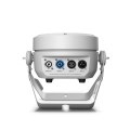 CLROOTPAR6WH_9-2.jpg