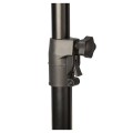 dna-s-pole-02.jpg