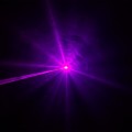 CLLWOOKIE400RGB_12.jpg