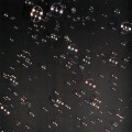 41538542.jpg