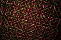 el-100_micro_-_beam0003_2.jpg